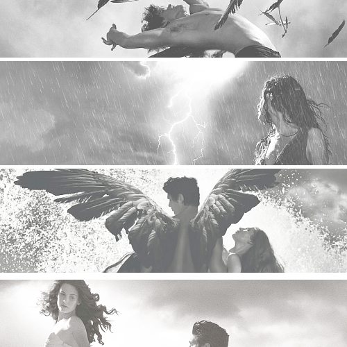 HushHushARGOffi's profile picture. Twitter Oficial del fansclub Hush, Hush Argentina Oficial.