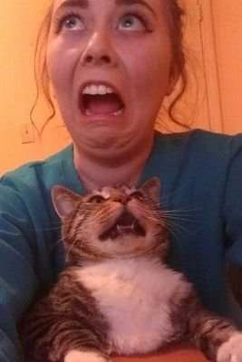 dumbhoesunite's profile picture. 