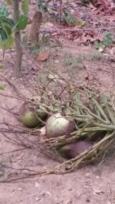 severo70494's profile picture. 