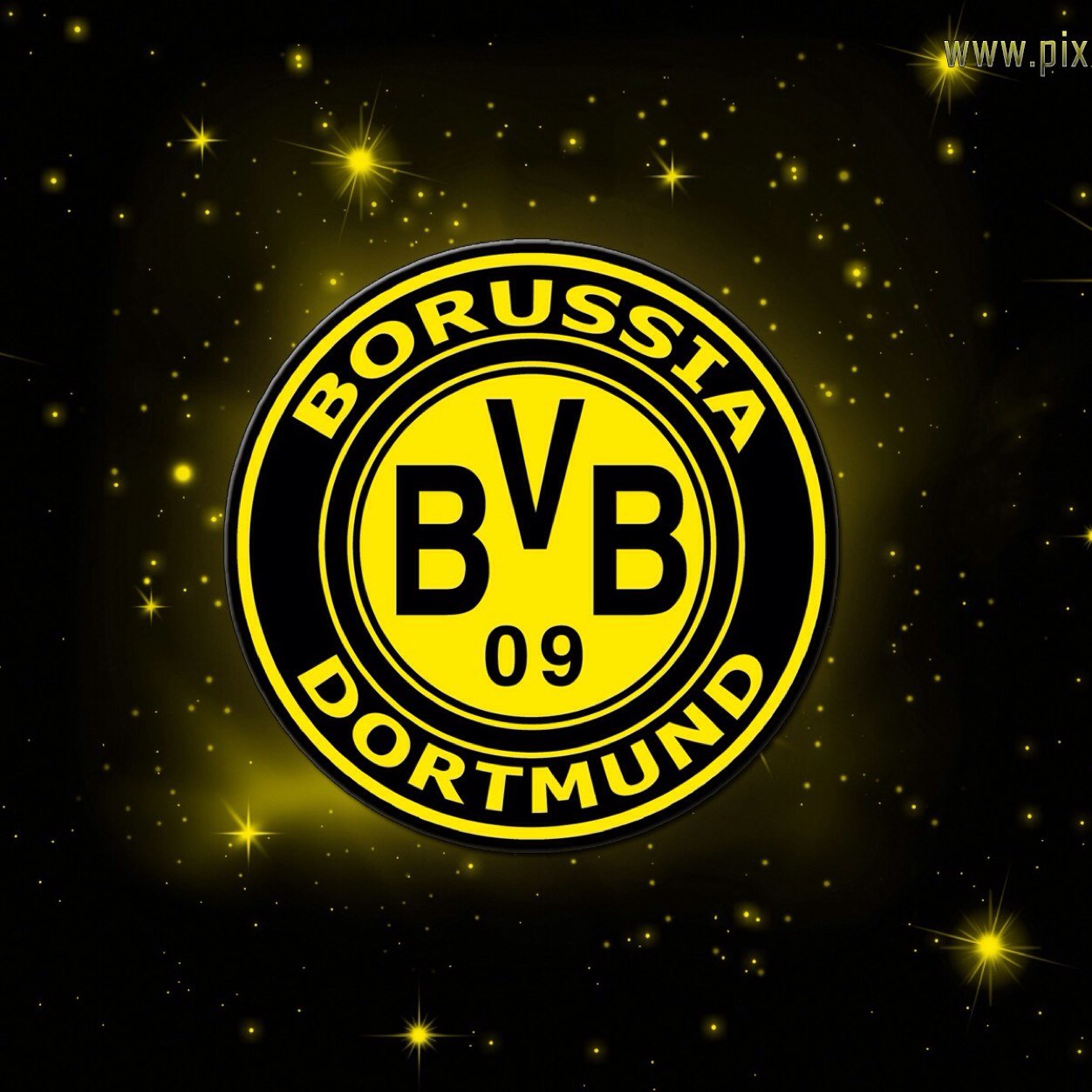 rayanmarotta's profile picture. BVB 09