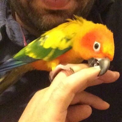 ehabalden75's profile picture. 