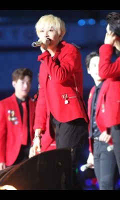 ELF❤SJ