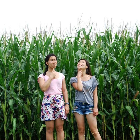 Two college students and their baking adventures. Now graduated, follow on @MonicaCheng_ and https://t.co/807cd9ASQu