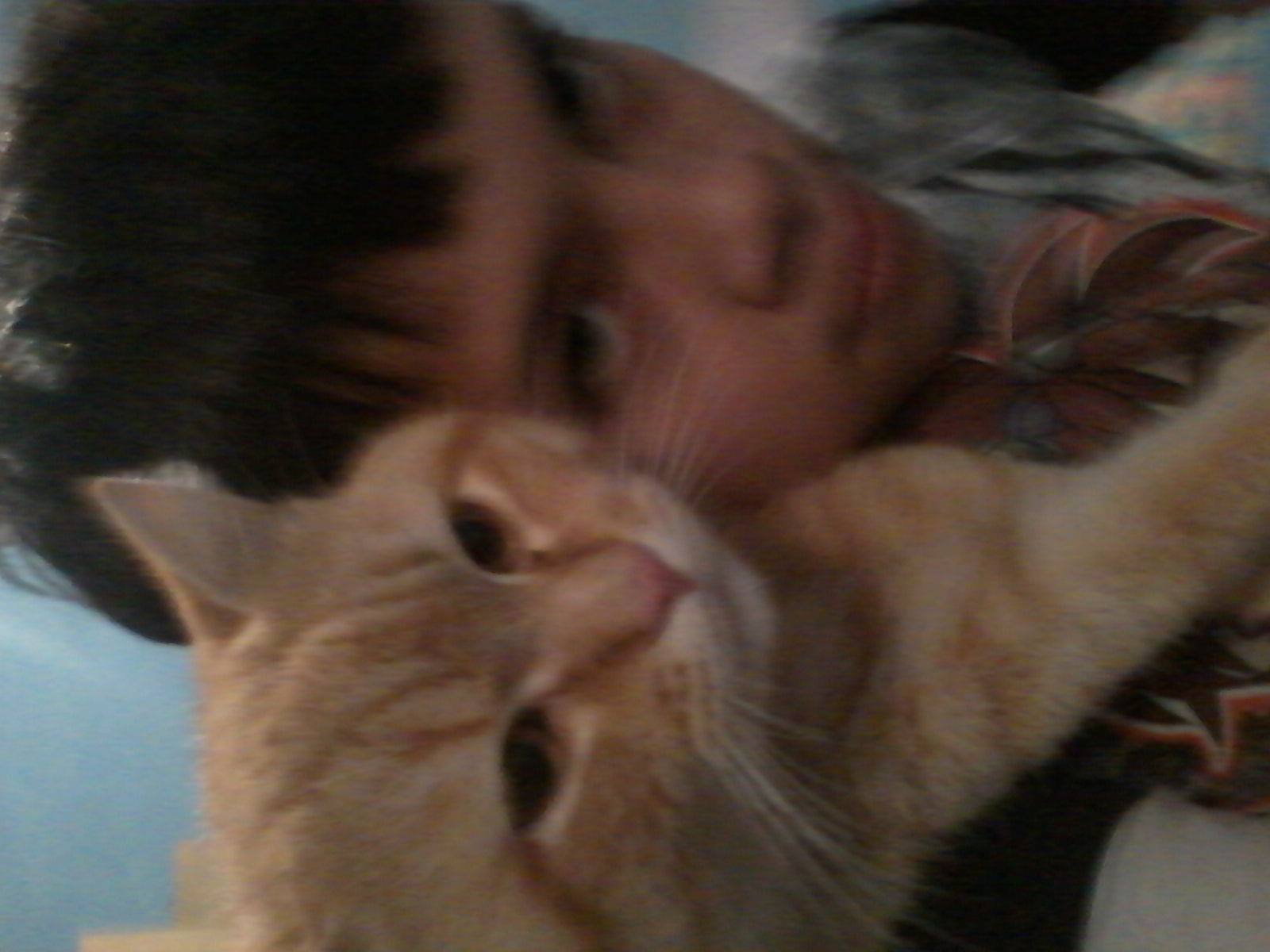 liedsonalves176's profile picture. 