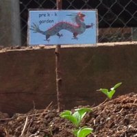 Tara Pyle (@mstpyle) 's Twitter Profile