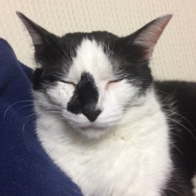 身体、引き締め中