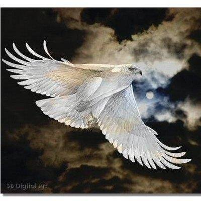 ThorondorG's profile picture. One of the species of Great Eagles in Arda. Named after the original. @ArwenEvenstar6 is my Mistress. Friend to Manwe. High King of Arda. RP/parody/MV