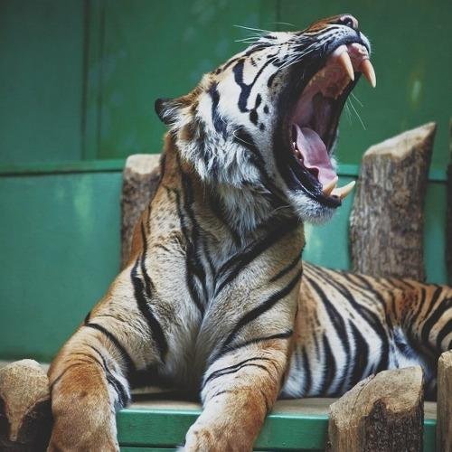 Kinga0527's profile picture. 