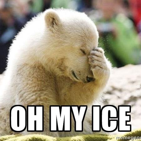 The #IceBucketChallenge has gone to far.