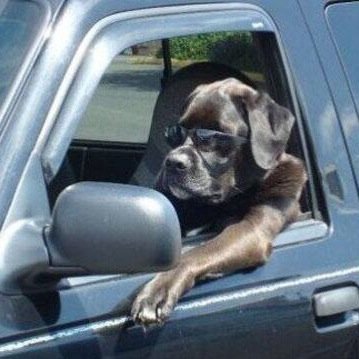 ninety_sixxx's profile picture. just a ghost with no face...dont plan on seeing me.