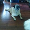 Dylan Lyon - @dylanlyon665 - Twitter