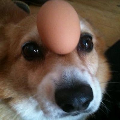 ChronicPenn's profile picture. 