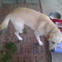 Seth chase Henderson - @c485d978cb974b0 - Twitter