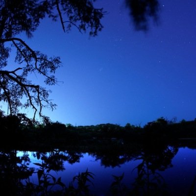 Sarkissimo's profile picture. 