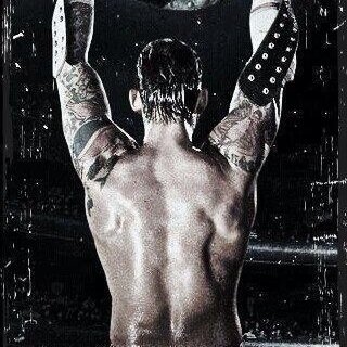 I've hit roadblock after roadblock. And look at me now, standing in a kingdom made of bricks thrown at me! {Not @CMPunk} #PWH