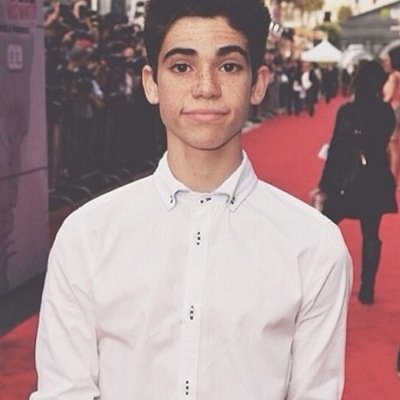 Hey, I'm Ross. Luke Ross. I'm the troublemaker in the family. Plus, I'm a breakdancer and I hate school. Adopted by the Ross Family. Single. [Roleplay]