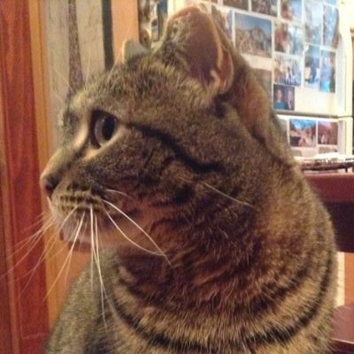 carolynwysong's profile picture. 