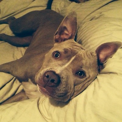 Kaetchenaleen's profile picture. 