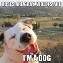 Ellen Goodrich - @GoodrichE - Twitter