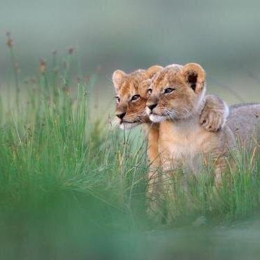 MaturinPotencia's profile picture. 