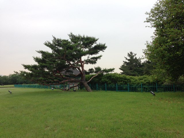 apopstar122's profile picture. 