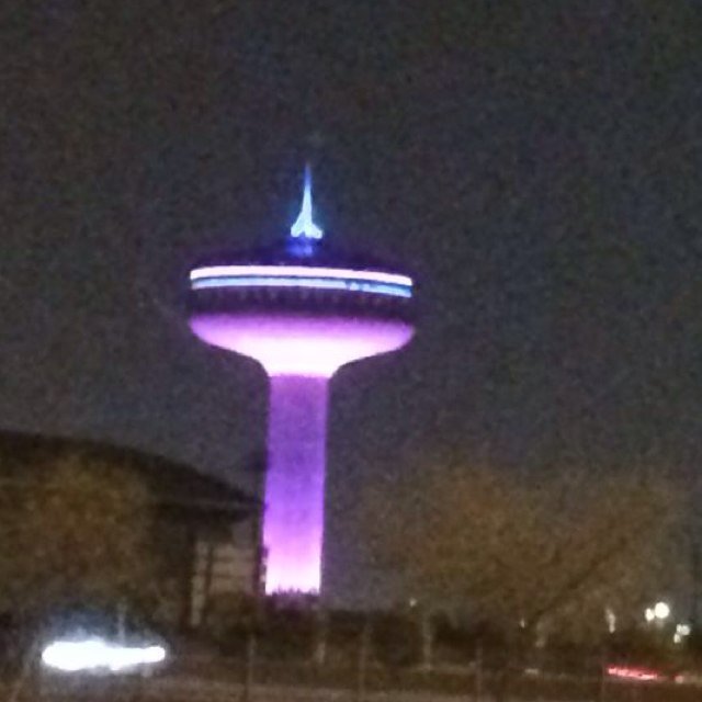 abdulkarim16199's profile picture. 