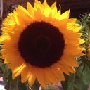 Patti McGrath - @Pattimcgrath - Twitter