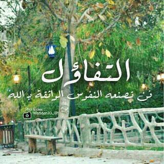 pin:2AE52DF6