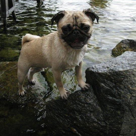 GJLRocco020497's profile picture. 