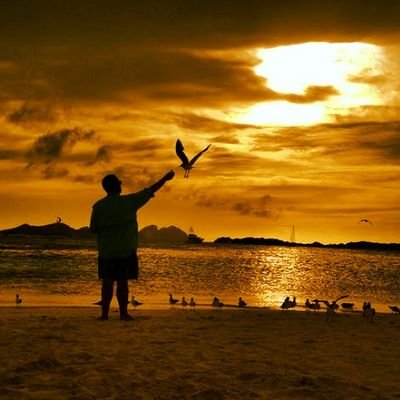 AndresSuzzarini's profile picture. Venezolano de Caracas! Caracas FC, Navegantes del Magallanes, FC Barcelona es lo mio! Musica, todo menos reggaeton!