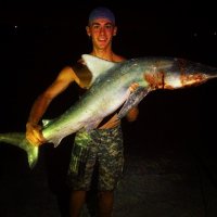 Ryan Hamel (@hamelryan) 's Twitter Profile