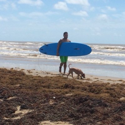 cdelaguila201's profile picture. 