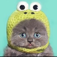 Susan Stonchus (@susanstonchus) 's Twitter Profile