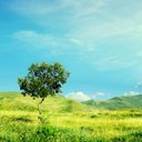 ياسر العتيبي (@0503500655) Twitter