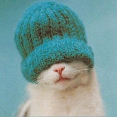 shushu_bomber's profile picture. 