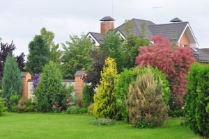 KDMproperty's profile picture. Complete Property Services