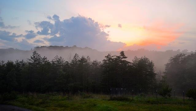A great small WV community with an historic downtown, a thriving art scene, and an abundance of outdoor activities. Just a short drive from DC/Baltimore.