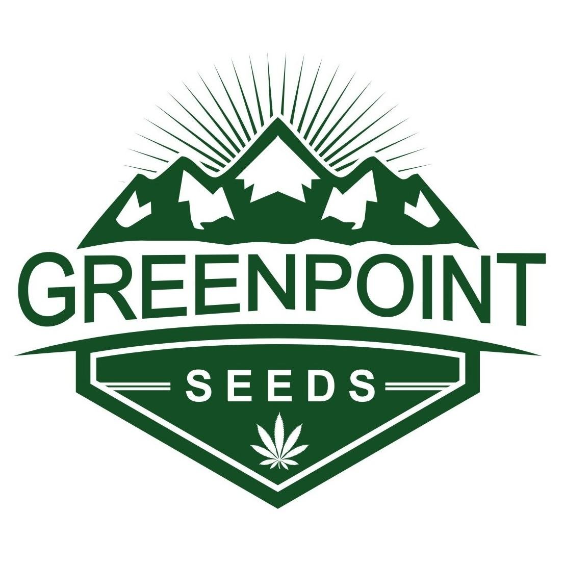 Buy Cannabis Seeds direct from breeder. Credit/Debit cards accepted. Join Our Newsletter: https://t.co/eFdQYFQELY to receive special offers!