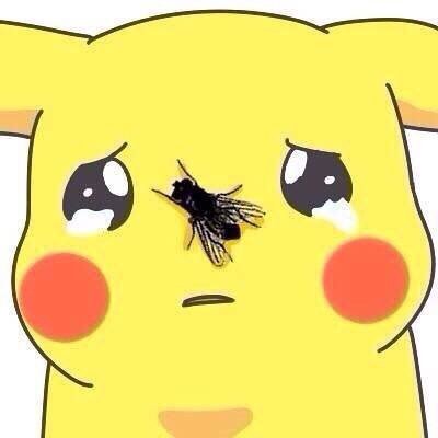 liwanxin0088's profile picture. 周觅~~~~