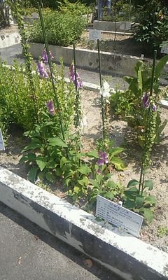 ke_at57's profile picture. 167.53🐜　東京へはフッ軽💨　ENFJらしいです　ウラヤハ🐰