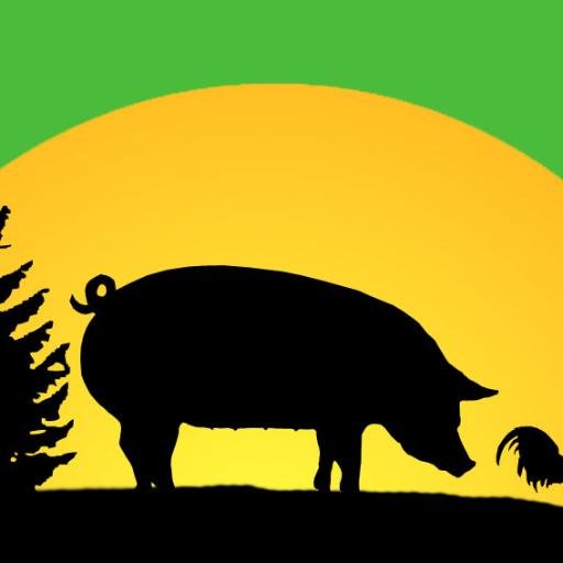 sunnycedars's profile picture. Local, all-natural pastured pork.