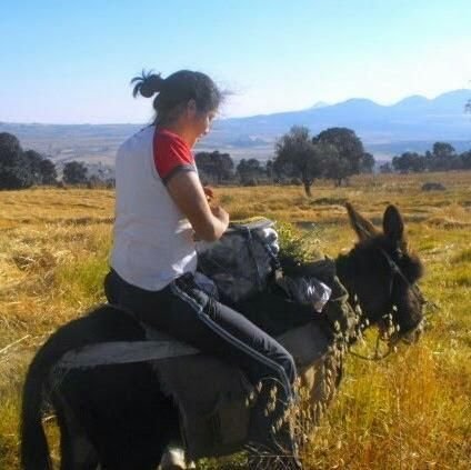 IMoritaz's profile picture. 