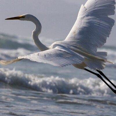 Hello Friends My name is Vinesh Singh, Foloow me i will back you follow.