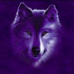 spiritual empathic witch & just a loner in this world