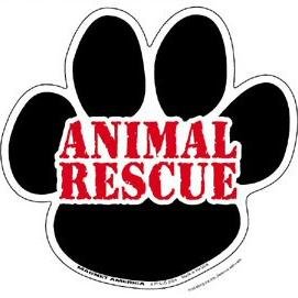 If your an animal lover spend 5 min of your day , with those that are locked up in kennels about to be euthanised. 
Rescue
Adopt
Donate!