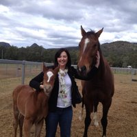 Carole Logue (@c_logue) 's Twitter Profile