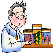 NESBiologyALev's profile picture. Here you will find links to further biological reading, this is not a question and answer twitter account.