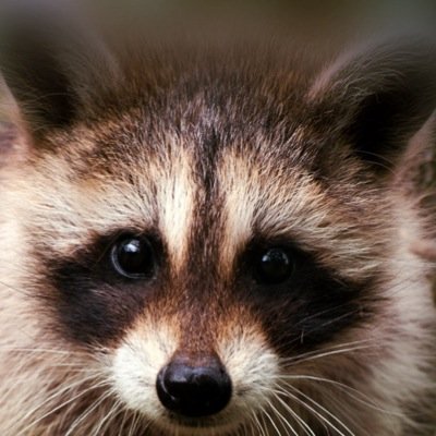 rubyrubyruby13's profile picture. 