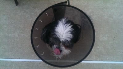 EmeryJim's profile picture. I’m a 52 year old who’s not very optimistic about the future.