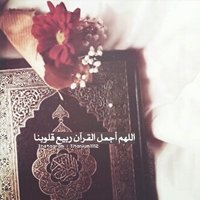 اميره السيد. (@amerah345) Twitter profile photo